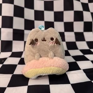 Pusheen rainbow keychain